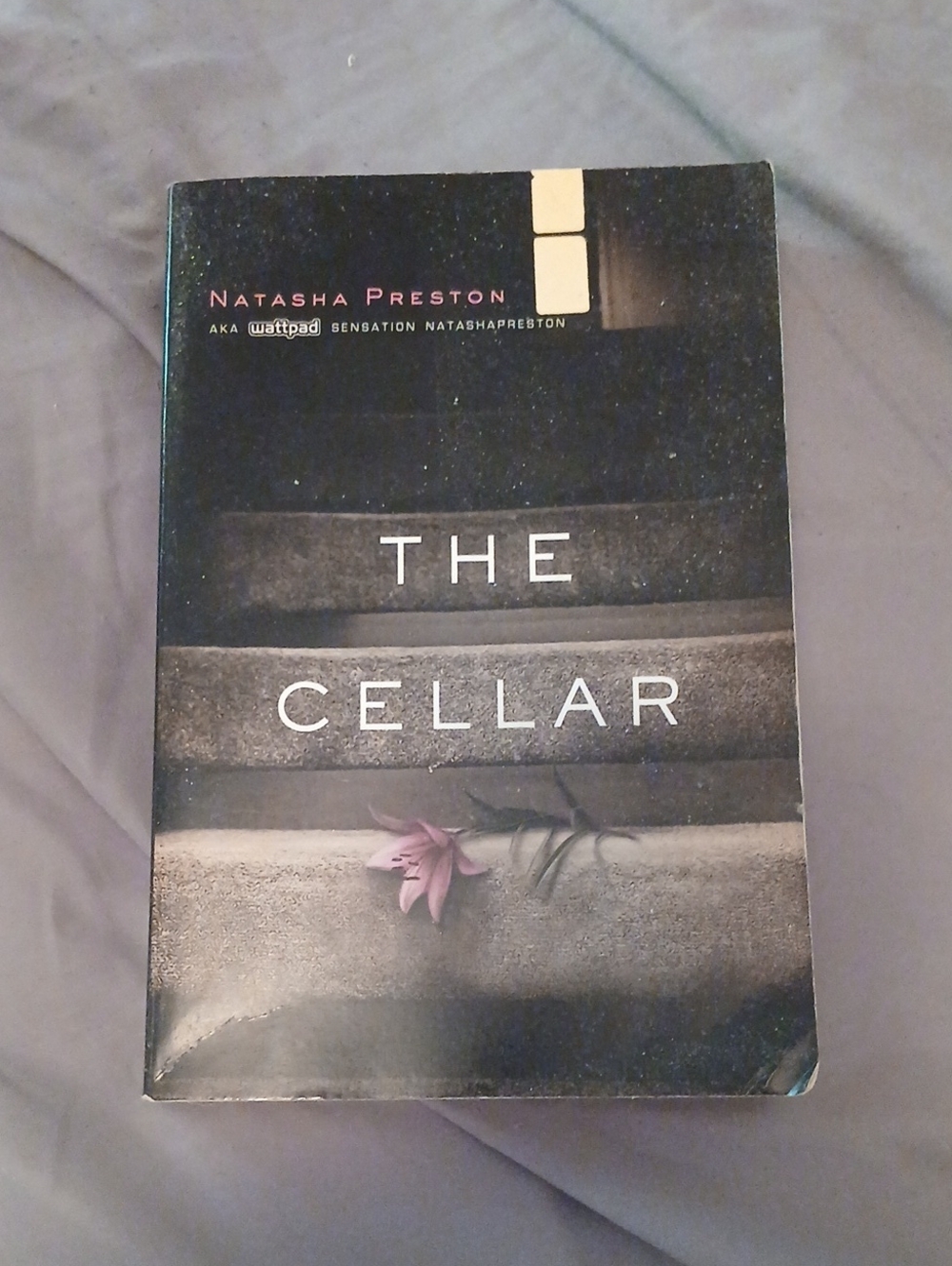 The Cellar by Natasha Preston - Black & Gray Paperback